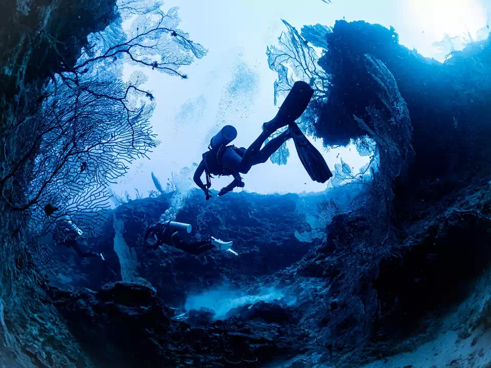 Scuba dive with Ylang Dive Center